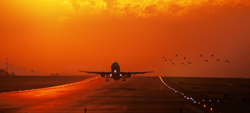 landing